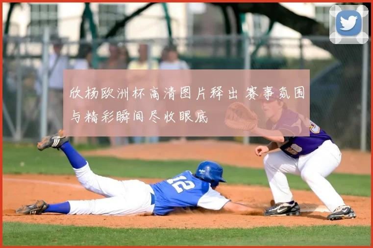 欣杨欧洲杯高清图片释出 赛事氛围与精彩瞬间尽收眼底