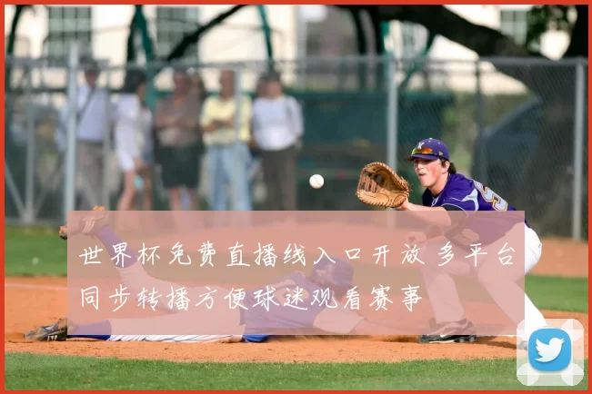 世界杯免费直播线入口开放 多平台同步转播方便球迷观看赛事