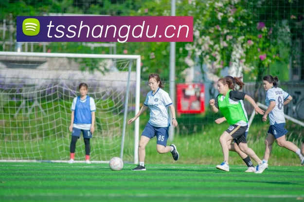 滚球官网app发展历程